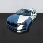 Skoda Karoq 2.0 Tdi 110kw (150cv) Dsg 4×4 Ambition