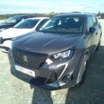 Peugeot 2008 Active Pack Bluehdi 81kw (110cv)