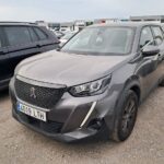 Peugeot 2008 Active Pack Bluehdi 81kw (110cv)