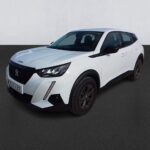 Peugeot 2008 Active Pack Bluehdi 81kw (110cv)