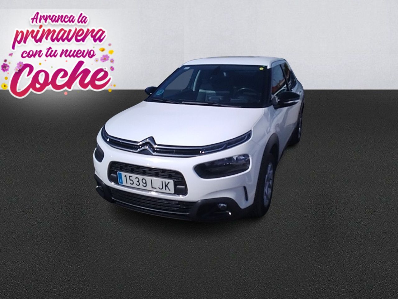 Citroën C4 Cactus BlueHDi 100 S&S Shine