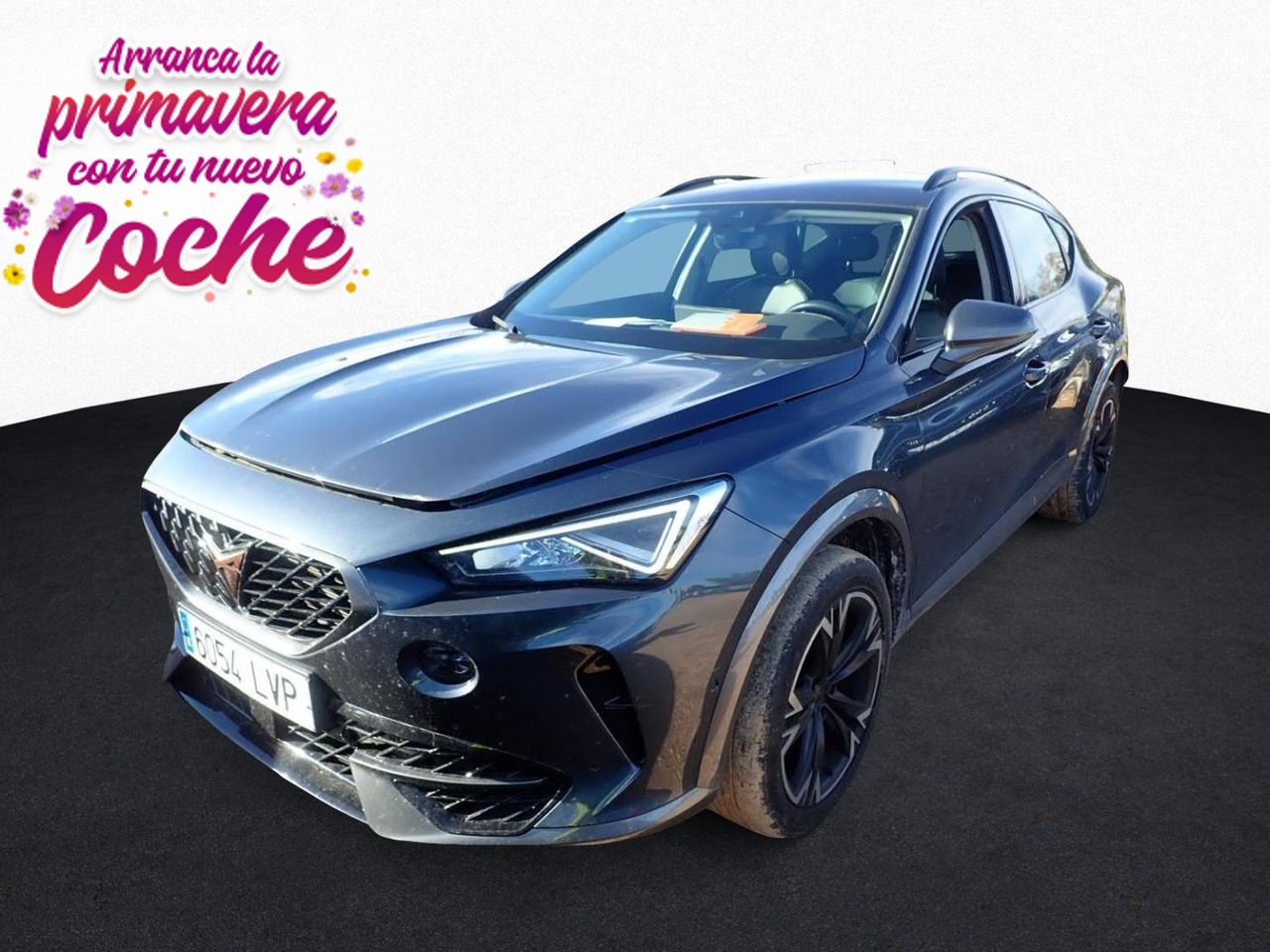 Cupra Formentor 2.0 TDI 110kW (150 CV)