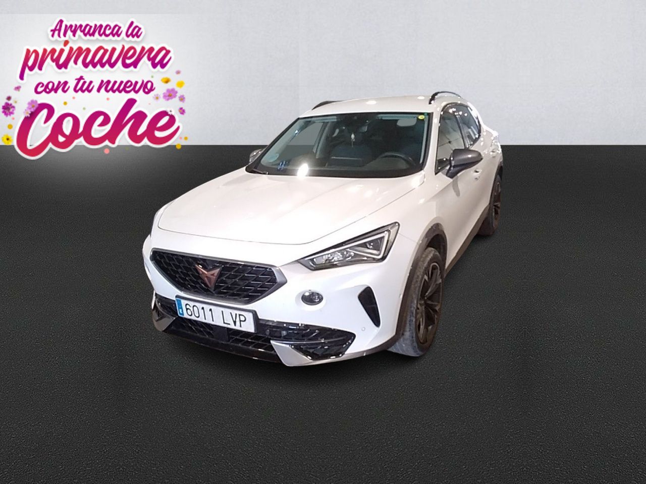 Cupra Formentor 2.0 TDI 110kW (150 CV)