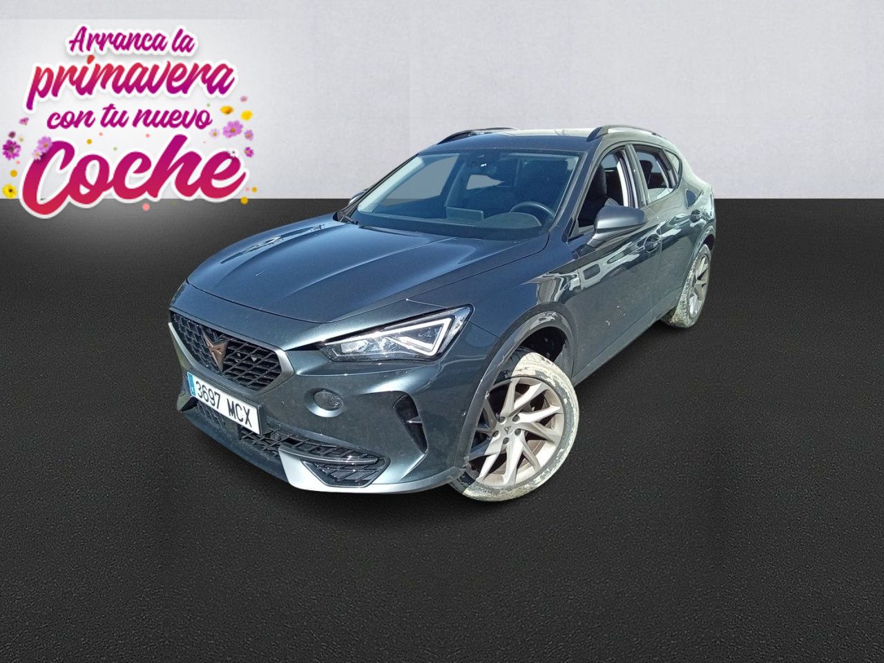 Cupra Formentor 2.0 TDI 110kW (150 CV)