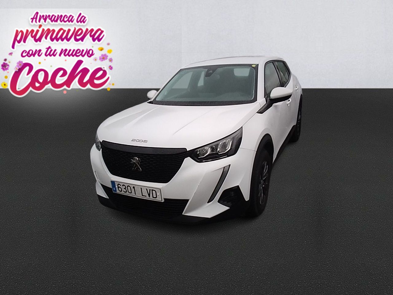 Peugeot 2008 Active Pack BlueHDI 81kW (110CV)