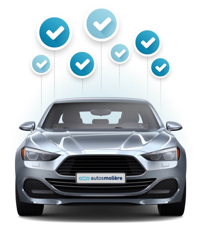 cochessm_02 cochessm_02