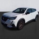 Peugeot 2008 Active Pack Bluehdi 81kw (110cv)