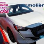 Peugeot 208 BlueHDi 100 Active 75 kW (100 CV)