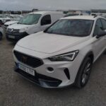 Cupra Formentor 1.5 Tsi 110kw (150 Cv) Dsg