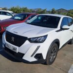 Peugeot 2008 Active Pack Bluehdi 81kw (110cv) Peugeot 2008 Active Pack Bluehdi 81kw (110cv)
