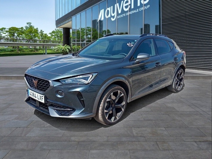 Cupra Formentor 1.5 Tsi 110kw (150 Cv) Dsg