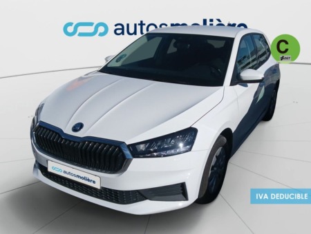 40543ad341c7ad9b85737cf1254c2d0f-7804 Skoda Fabia 1.0 MPI Active 59 kW (80 CV)