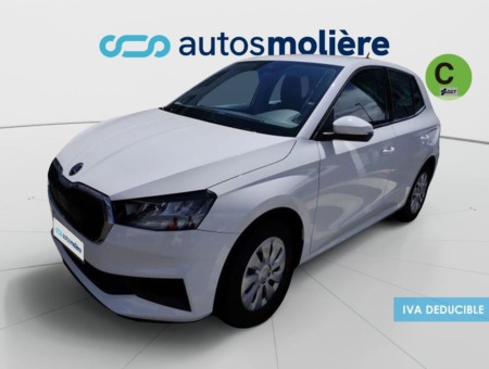 40543ad341c7ad9b85737cf1254c2d0f-8734 Skoda Fabia 1.0 MPI Active 59 kW (80 CV)
