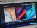 40543ad341c7ad9b85737cf1254c2d0f-2755 BMW X2 sDrive20d 120 kW (163 CV) - 29