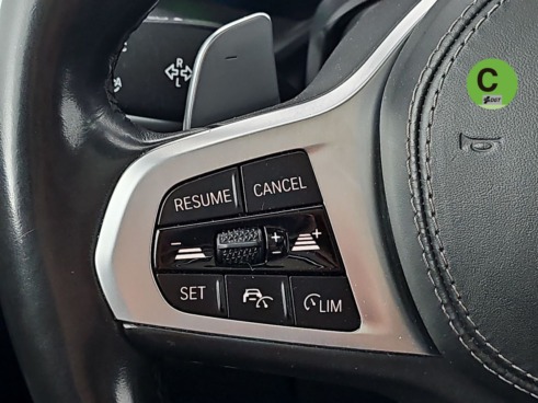 40543ad341c7ad9b85737cf1254c2d0f-3594 BMW X5 xDrive30d 195 kW (265 CV) - 28