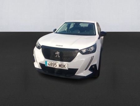 40543ad341c7ad9b85737cf1254c2d0f-4587 Peugeot 2008 Active Pack BlueHDI 81kW (110CV)