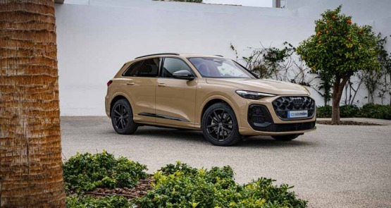 Tipos de coches híbridos: diferencias entre MHEV, HEV y PHEV