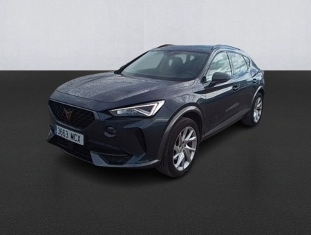 40543ad341c7ad9b85737cf1254c2d0f-1024 Cupra Formentor 2.0 TDI 110kW (150 CV)