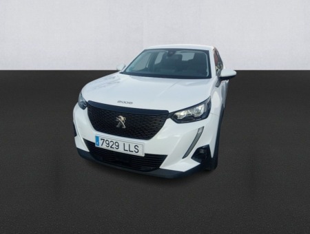 40543ad341c7ad9b85737cf1254c2d0f-1994 Peugeot 2008 Active BlueHDI 81kW (110CV)