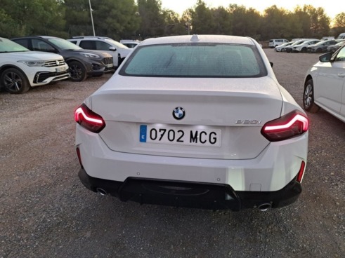 40543ad341c7ad9b85737cf1254c2d0f-1531 Bmw Series 2 220ia - 6