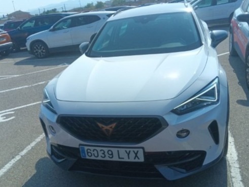40543ad341c7ad9b85737cf1254c2d0f-4463 Cupra Formentor 2.0 Tsi 140kw (190 Cv) 4drive Dsg - 2