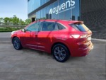 40543ad341c7ad9b85737cf1254c2d0f-3546 Ford Kuga St-line X 2.0 Ecoblue 140kw 4×4 Auto - 6